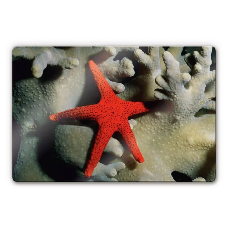 wall-art-1406649