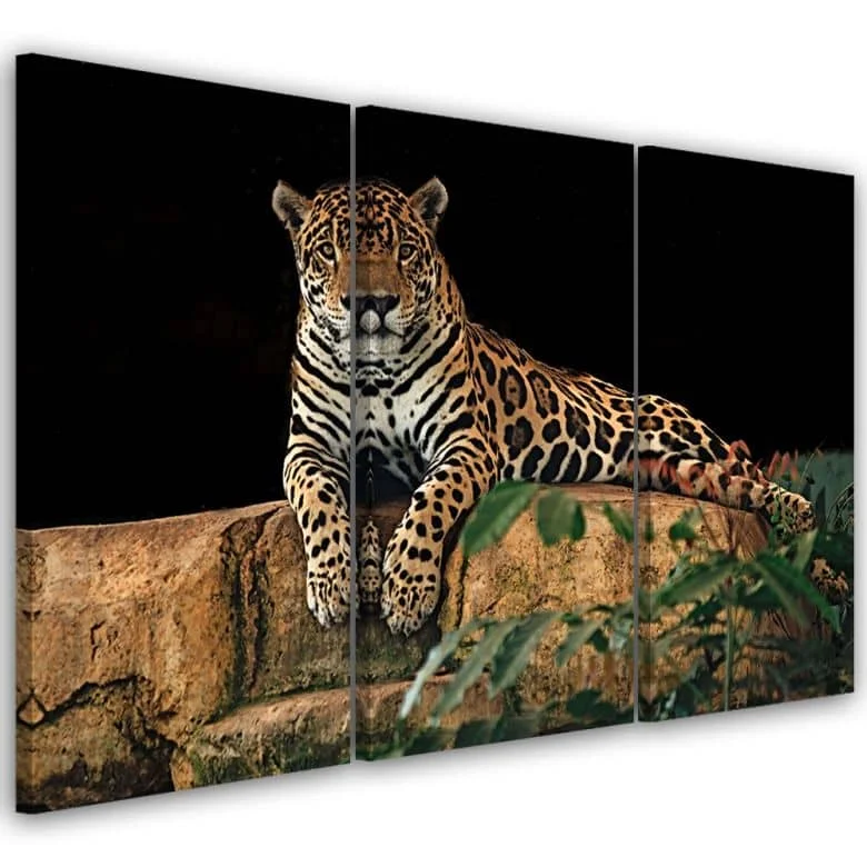 wall-art-1407638