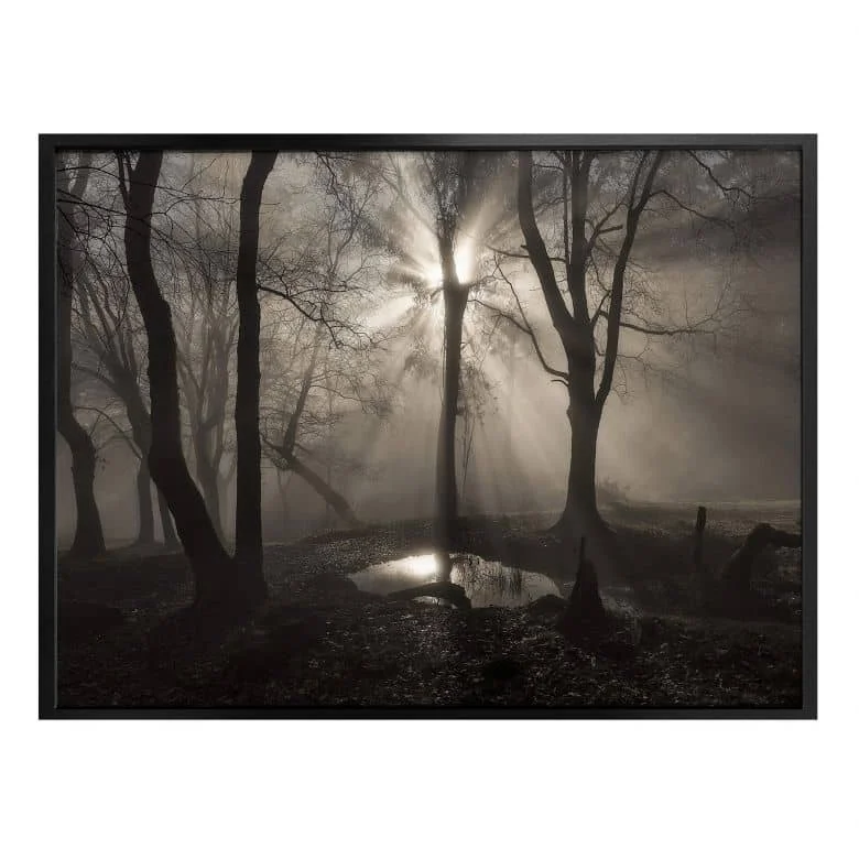 wall-art-1413004