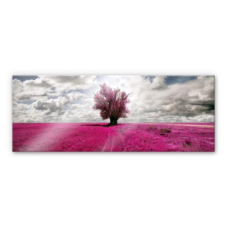wall-art-1413415