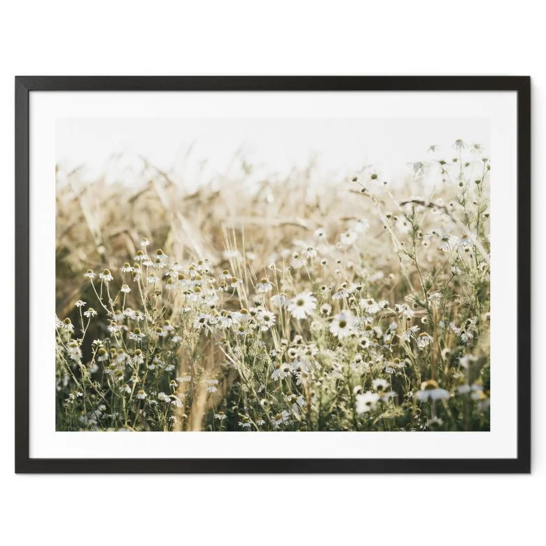 wall-art-1415294