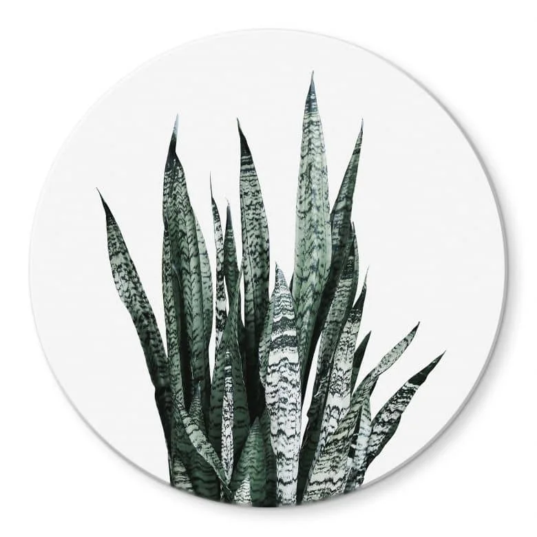 wall-art-1418329