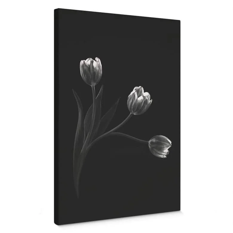 wall-art-1418872
