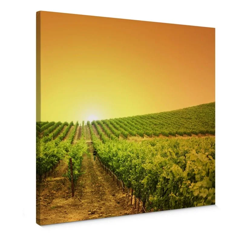 wall-art-1421465