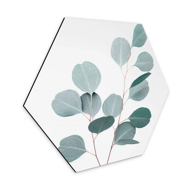 wall-art-1421805