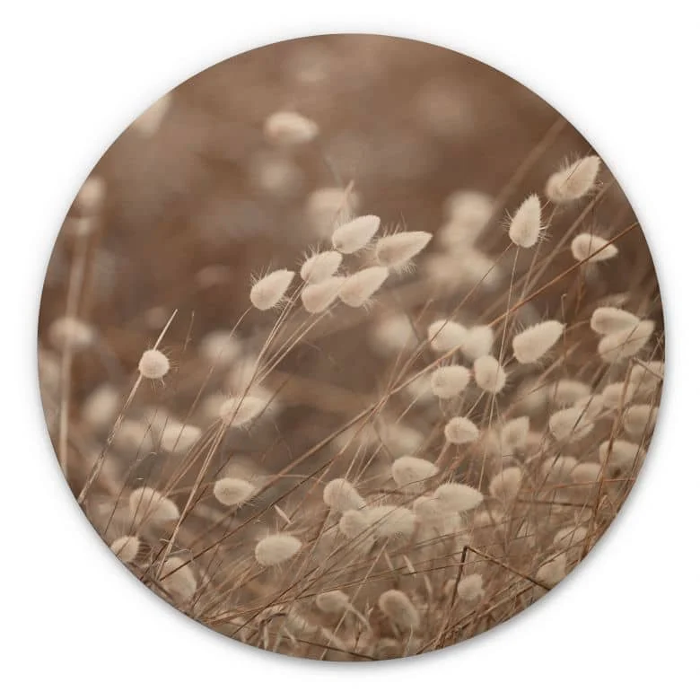 wall-art-1423302