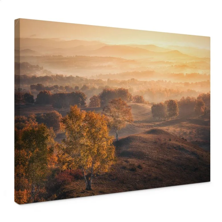 wall-art-1430706