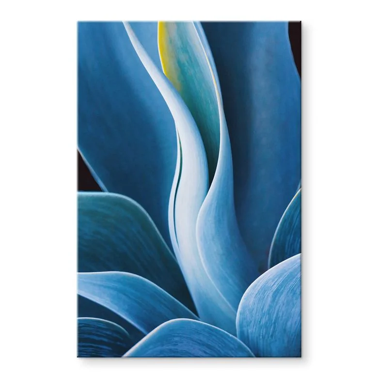 wall-art-1431227