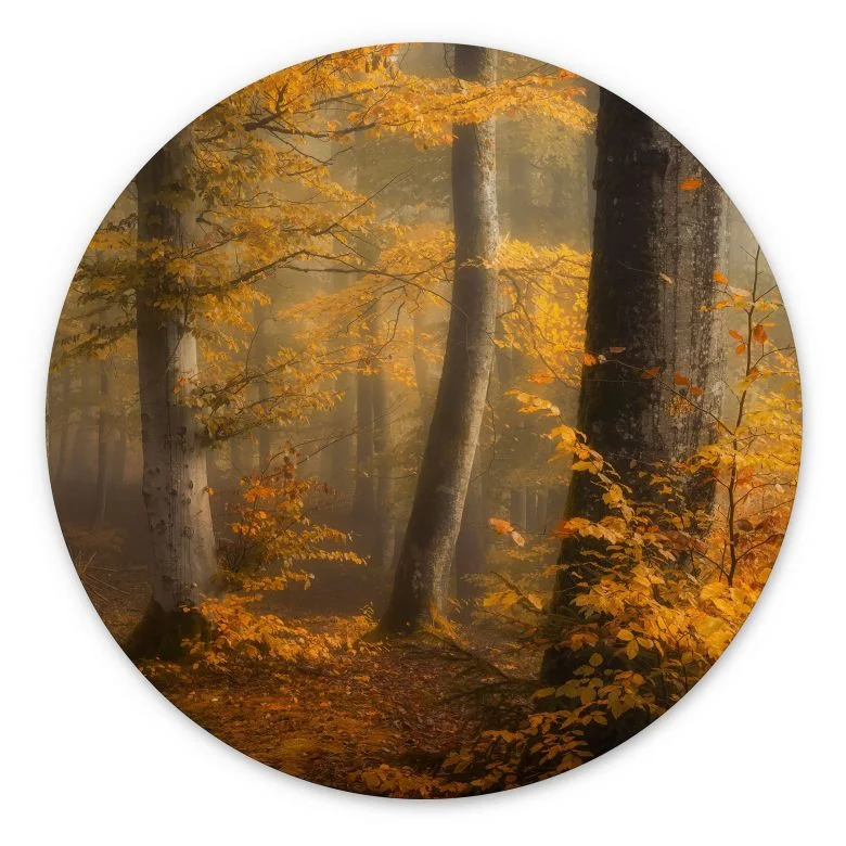 wall-art-1432281