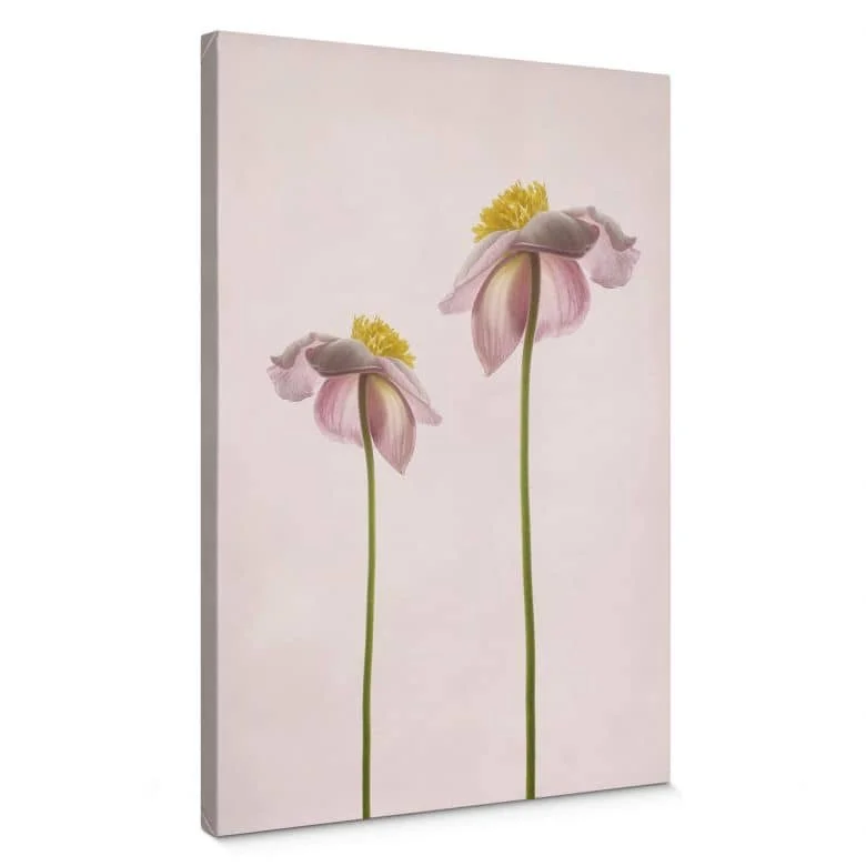 wall-art-1439219