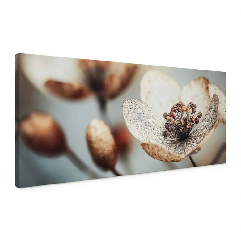 wall-art-1439330