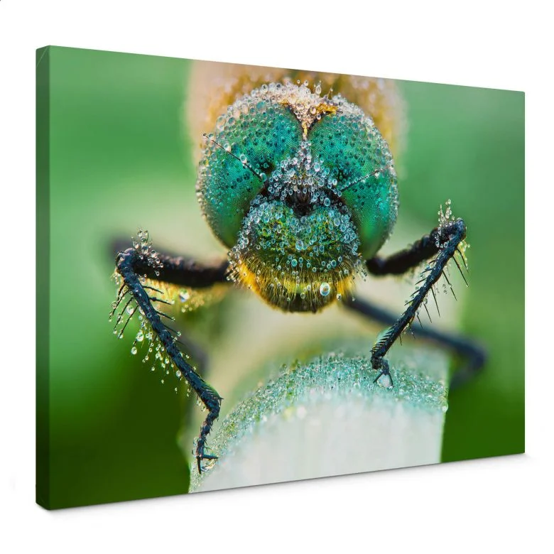 wall-art-1449371