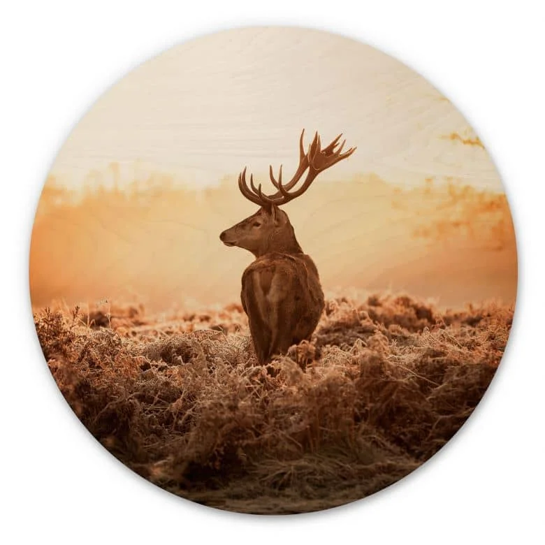 wall-art-1451321