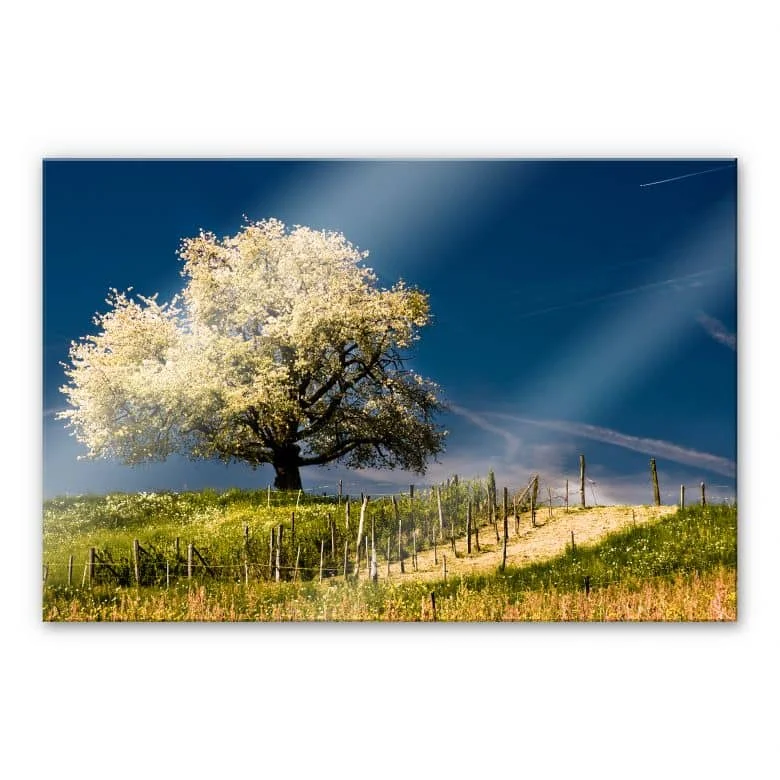 wall-art-1451359