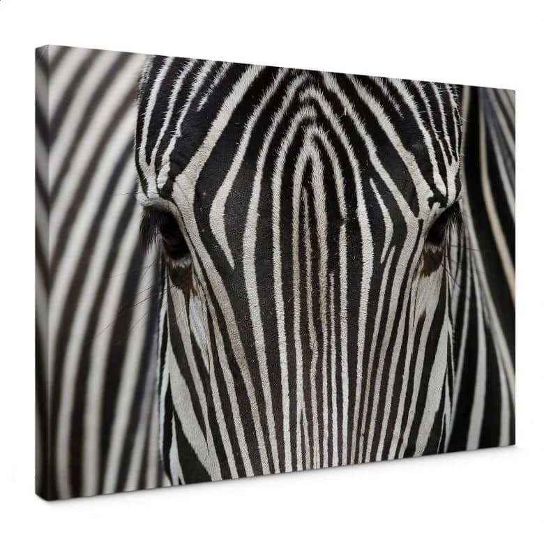 wall-art-1454908