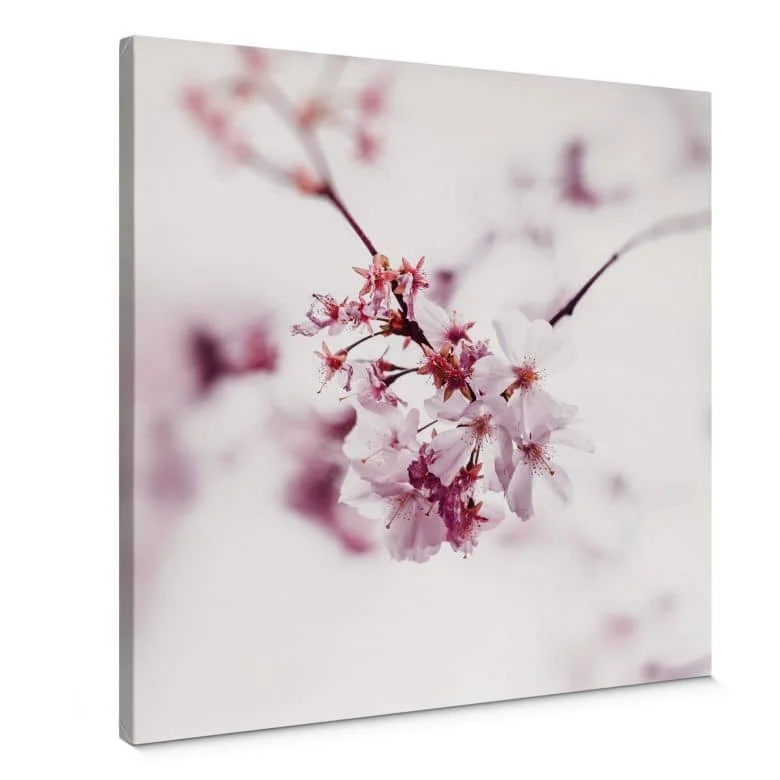 wall-art-1455555